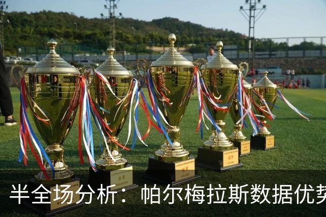 半全场分析：帕尔梅拉斯数据优势明显，主场强推胜胜可期