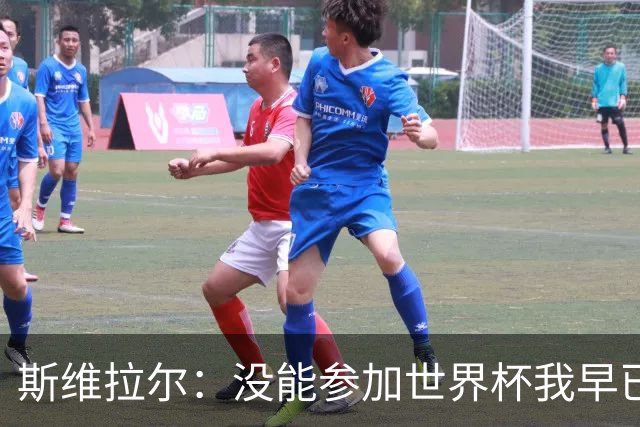 斯维拉尔：没能参加世界杯我早已放下，坦白讲我内心没有太多波澜