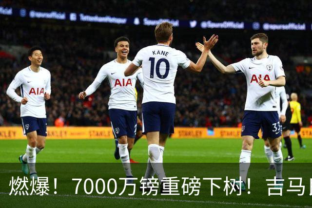 燃爆！7000万镑重磅下树！吉马良斯敲定阿森纳，枪迷终于等到期盼已久中场强援
